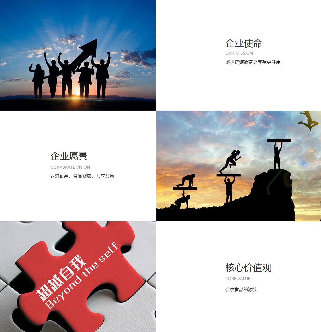 门徒娱乐(图1)